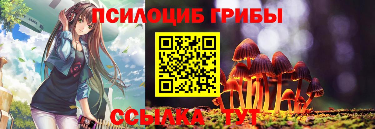 Псилоцибиновые грибы Cubensis  Вход с VPN  Аксай 
